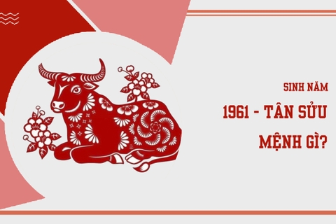 Sinh năm 1961 mệnh gì ? hợp màu nào ?