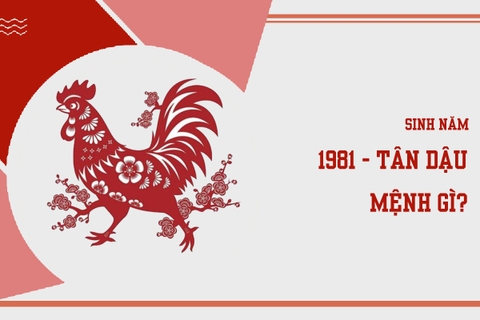 Sinh năm 1981 mệnh gì ? hợp màu nào ?