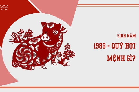 Sinh năm 1983 mệnh gì ? hợp màu nào ?