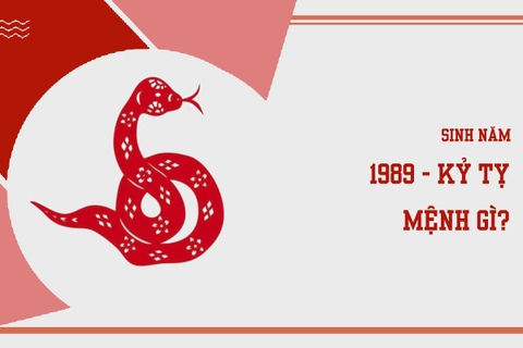 Sinh năm 1989 mệnh gì ? hợp màu nào ?
