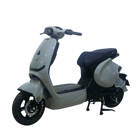 Xe điện Ally Elyas 9