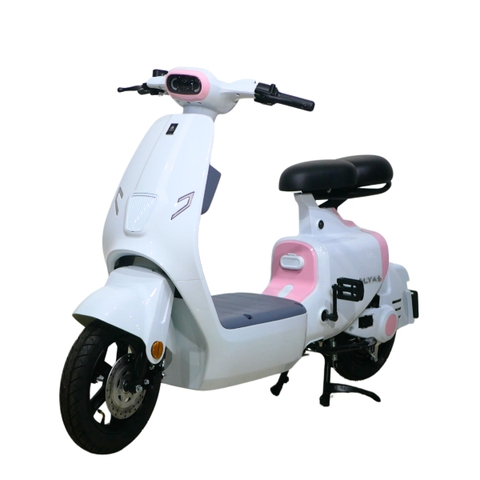 Xe điện Ally Elyas