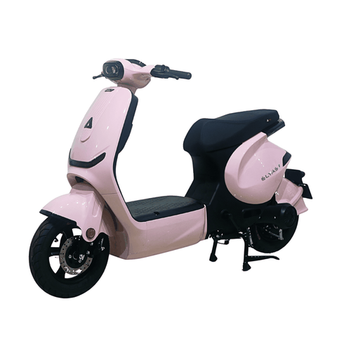 Xe điện Ally Elyas 9