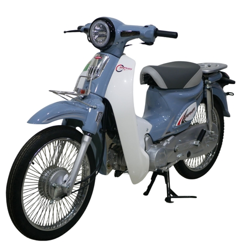 Xe Cub Shaphia sport 50cc phiên bản mới nhất 2025