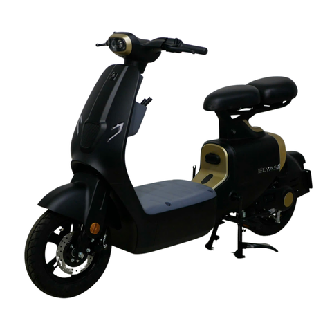 Xe điện Ally Elyas