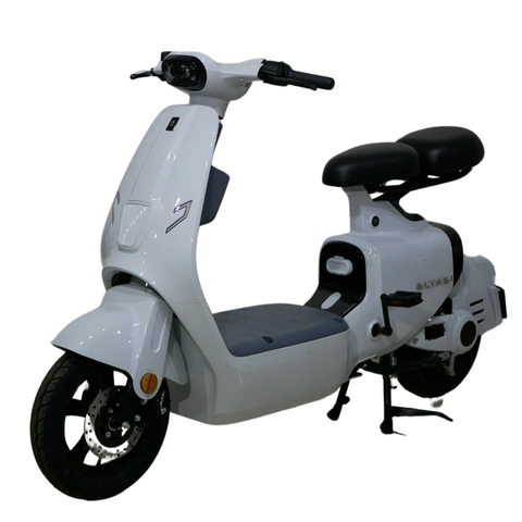 Xe điện Ally Elyas