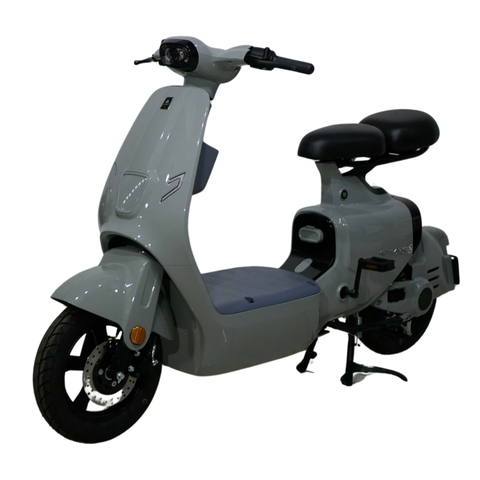 Xe điện Ally Elyas