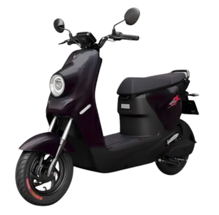 Xe Điện Vinfast ZGoo