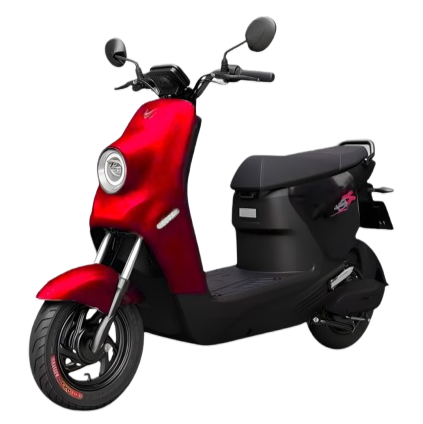 Xe Điện Vinfast ZGoo