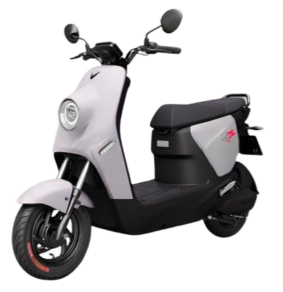 Xe Điện Vinfast ZGoo
