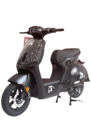 Xe máy điện Ally Ecocity