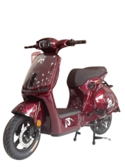 Xe máy điện Ally Ecocity
