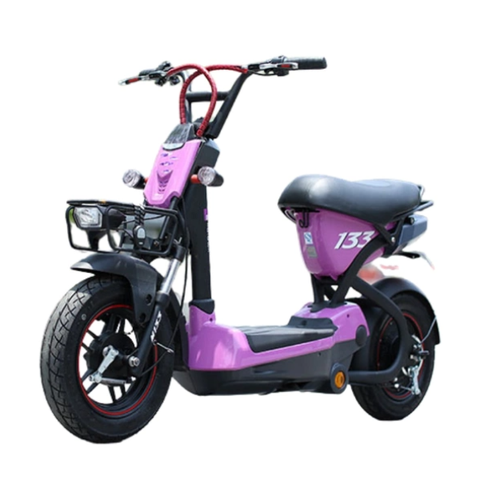 Xe đạp điện Giant M133 Momentun