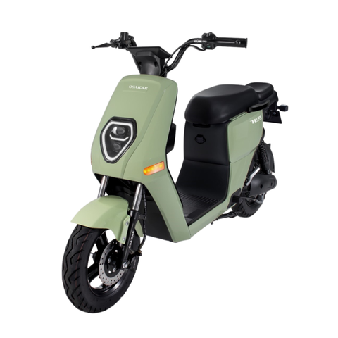 XE ĐIỆN OSAKAR HEIDI