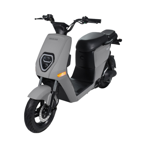 XE ĐIỆN OSAKAR HEIDI