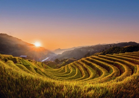 🌿 Giải Pháp Ánh Sáng Tự Nhiên - Thiết Bị Chiếu Sáng Lumi Cao Cấp