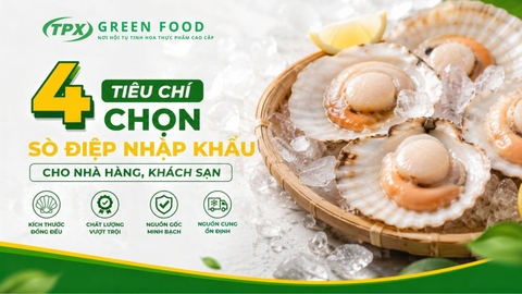 4 TIÊU CHÍ CHỌN SÒ ĐIỆP NHẬP KHẨU CHO NHÀ HÀNG, KHÁCH SẠN