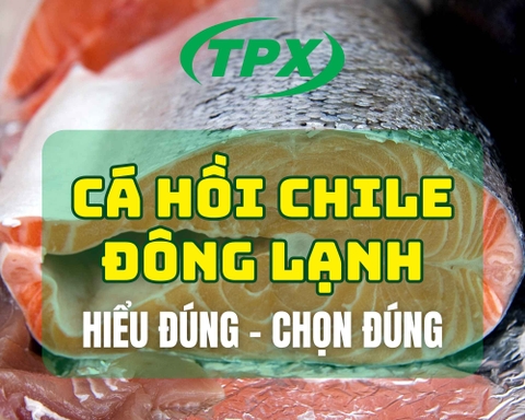 Cá Hồi Chile Đông Lạnh Là Gì? Tại Sao Đang Được Bếp F&B Việt Nam Ưa Chuộng