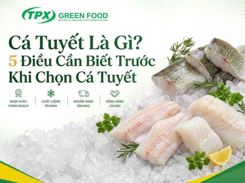 Cá Tuyết Là Gì? 5 Điều Cần Biết Trước Khi Chọn Cá Tuyết