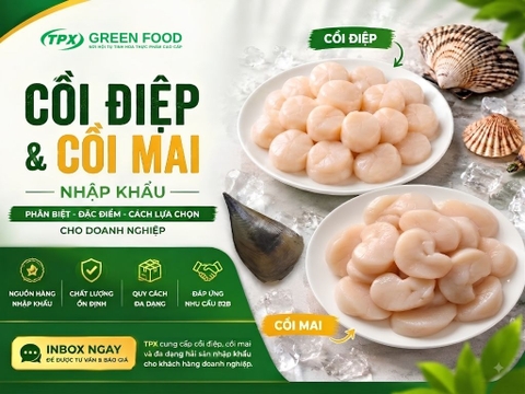 CỒI ĐIỆP & CỒI MAI NHẬP KHẨU | ĐA DẠNG QUY CÁCH - NGUỒN HÀNG B2B