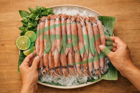 Mực Ghim: Tất Tần Tật Những Điều Cần Biết Cho Nhà Hàng & Khách Sạn