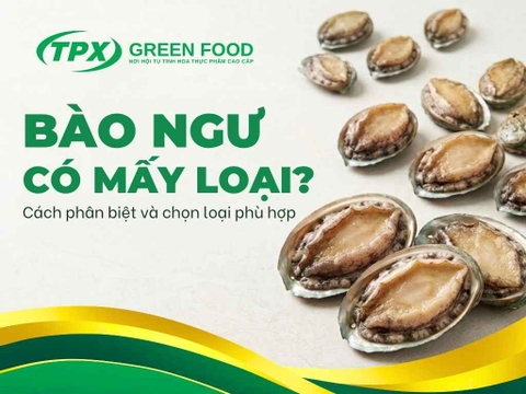 Bào Ngư Có Mấy Loại? Giải Đáp Từ A–Z Cách Phân Biệt Và Lựa Chọn