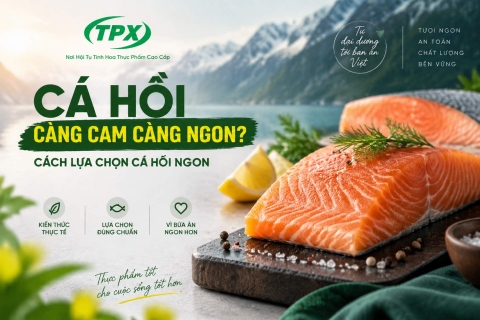 Cách Chọn Cá Hồi Ngon: Màu Cam Có Thực Sự Quyết Định Chất Lượng?