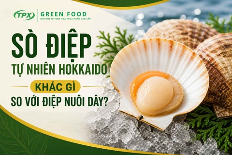Sò Điệp Tự Nhiên Hokkaido vs. Điệp Nuôi Dây: Sự Khác Biệt Tạo Nên Đẳng Cấp Cho Menu Nhà Hàng