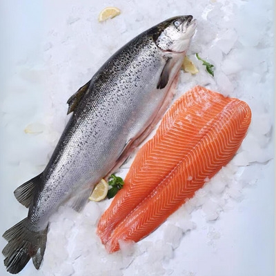 THỊ TRƯỜNG CÁ HỒI NHẬP KHẨU THÁNG 3/2026: BIẾN ĐỘNG CUNG ỨNG VÀ CHIẾN LƯỢC TỐI ƯU CHO DOANH NGHIỆP F&B