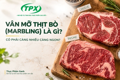 Vân Mỡ Càng Nhiều, Thịt Bò Càng Ngon? Sự Thật Không Đơn Giản Như Bạn Nghĩ