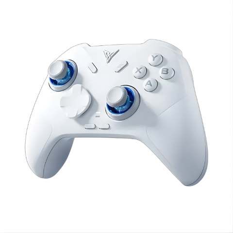 Tay cầm chơi Game Flydigi DireWolf 4