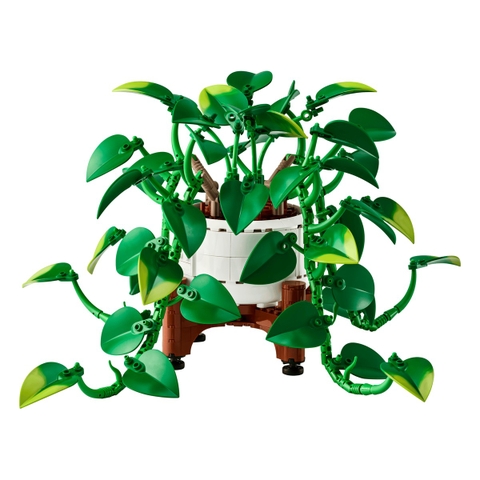 Bộ Mô hình Cây Trầu Bà Vàng  LEGO Icons #11512