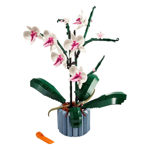 Bộ Mô Hình LEGO BOTANICALS Orchid Hoa Lan #10311