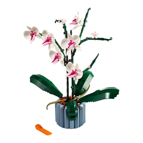 Bộ Mô Hình LEGO BOTANICALS Orchid Hoa Lan #10311