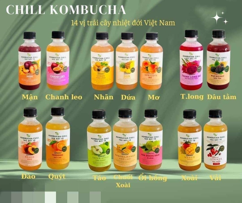COMBO 6 VKOMBUCHACHILL MIX LIGHT