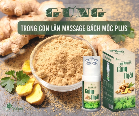 Nóng mạnh - Con Lăn Bách Mộc Plus - Massage Giảm Đau Mỏi Cổ Vai Gáy, Lưu Thông Khí Huyết