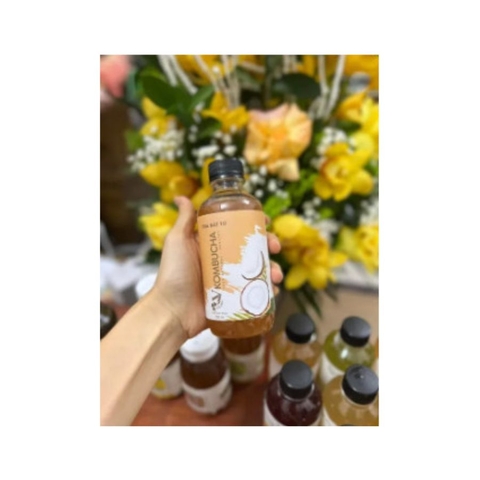Pack 6 chai mix vị VKombucha