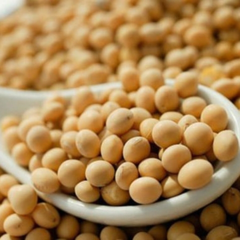 Đậu tương ta 500gr