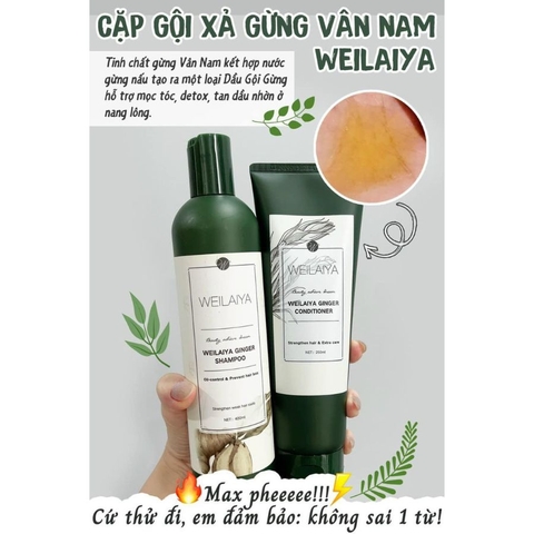 Bộ dầu gội - dầu xả gừng trắng Weilaiya