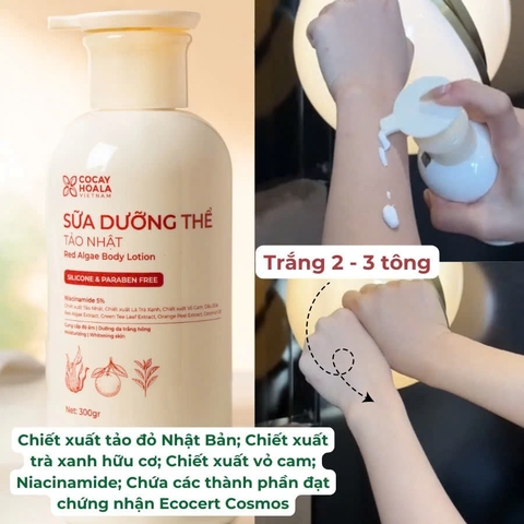 Combo Sữa Tắm, Sữa Dưỡng Thể Hương Nước Hoa Tảo Nhật - Cỏ Cây Hoa Lá Giúp Dưỡng Trắng Da 300gr