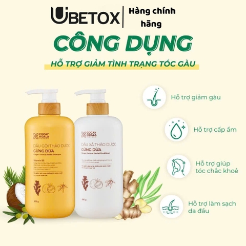 Combo Dầu Gội Xả Gừng Dừa 650gr - Cỏ Cây Hoa Lá