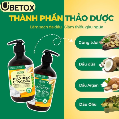 Combo Gội Xả Thảo Dược Gừng Dừa - Cỏ Cây Hoa Lá