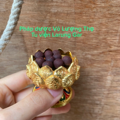 Pháp dược trường thọ từ tu viện Larung gar