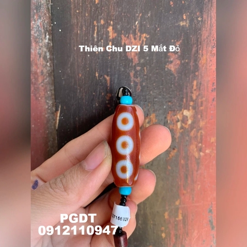Thiên Chu DZI 5 Mắt Màu Đỏ