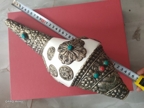 Ốc  Pháp Loa Lớn