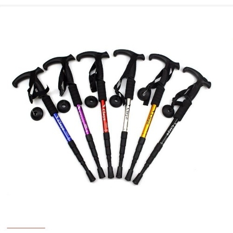 gây leo núi cleye tím