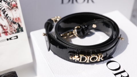 Túi Dior Lady Da Bóng Khóa Vàng Size 17cm 2Box (Có hộp)