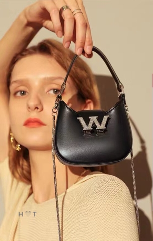 Túi ALexander Wang W Legacy SPSL Nhỏ (Có hộp)