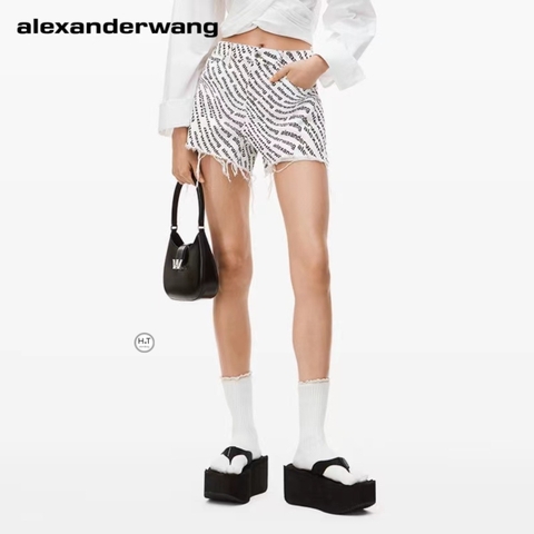 Túi ALexander Wang W Legacy SPSL Nhỏ (Có hộp)