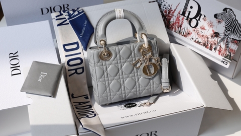 Túi Di Lady Da Lì Khóa Vàng Size 17cm Có 2 Hộp